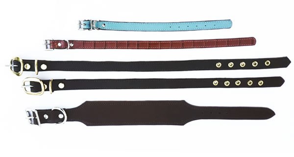 Group of dog collars