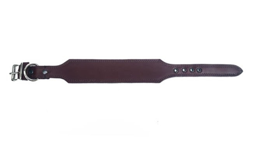 Greyhound style dog collar in brown cowhide